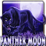 Bocoran RTP Slot Mega888 Panther Moon